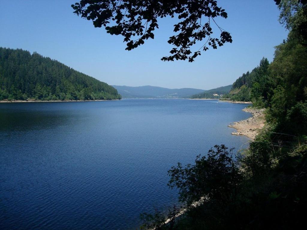 Alb
