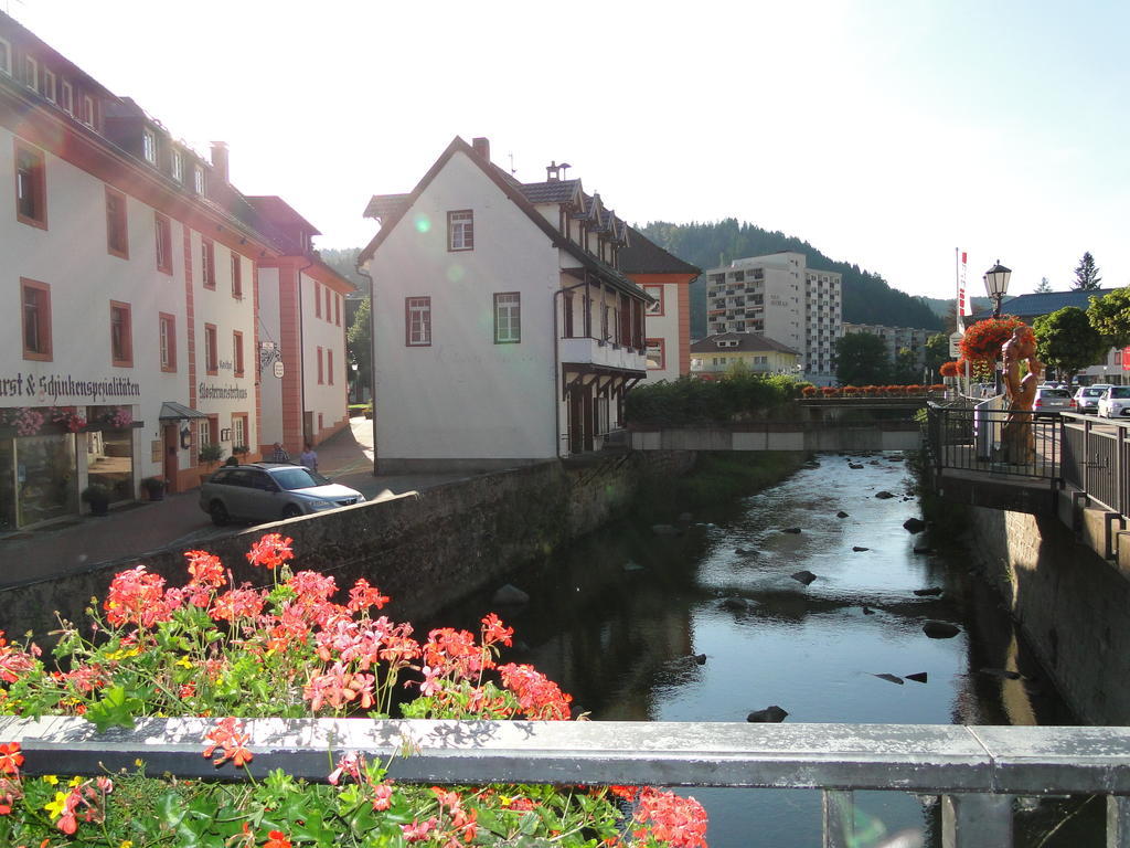 Apartment Alb St. Blasien