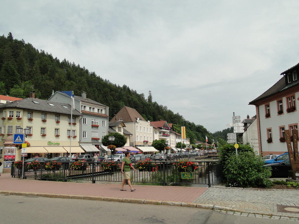 Apartment Alb St. Blasien