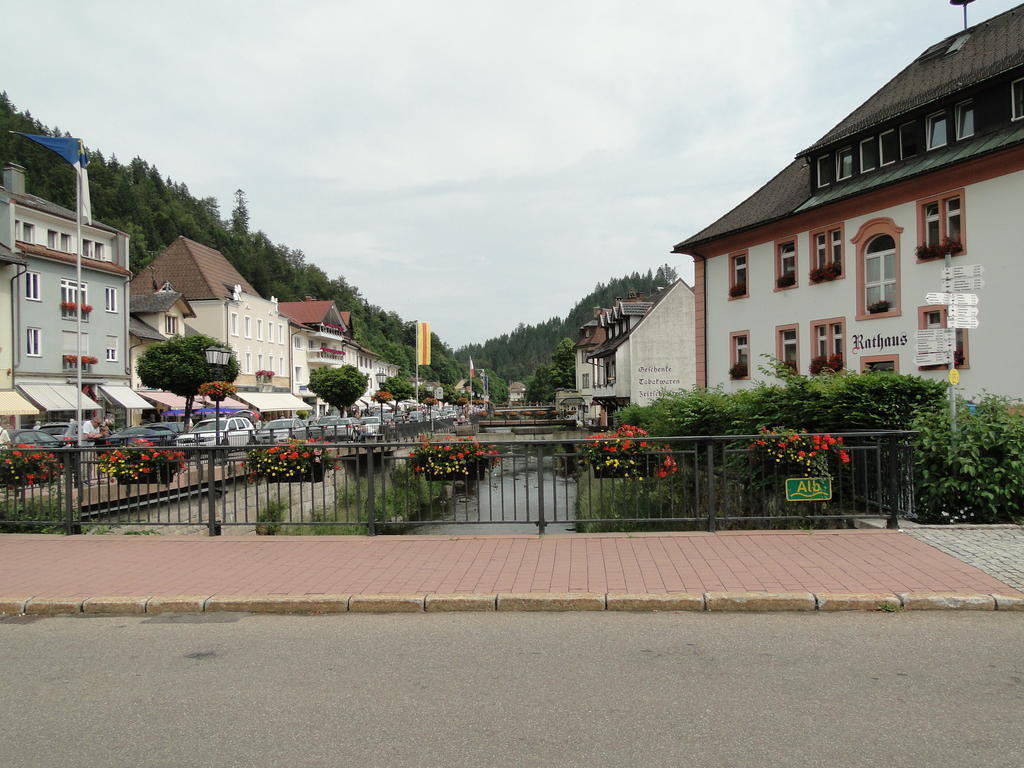 Alb
