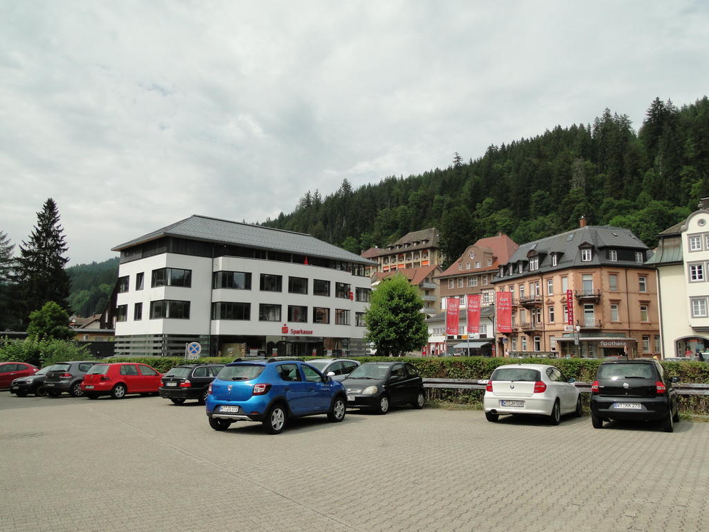 Apartment Alb